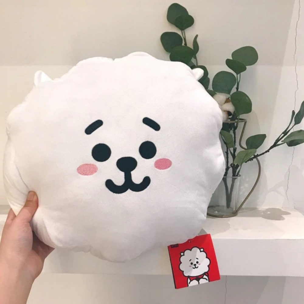 NWT OFFICIAL BT21 RJ Face Pillow